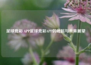 足球竞彩 APP足球竞彩APP的崛起与未来展望