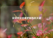 足球竞彩结果把握胜负关键
