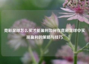 竞彩足球怎么买才能盈利如何在竞彩足球中实现盈利的策略与技巧