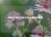 竞彩足球论坛贴交流与策略的盛宴