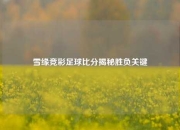 雪缘竞彩足球比分揭秘胜负关键