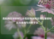 竞彩网足球即时比分竞彩网实时足球比赛即时比分查询与分析平台