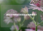 竞彩足球哪里买的竞彩足球哪里买？