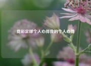 竞彩足球个人心得我的个人心得