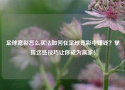 足球竞彩怎么买法如何在足球竞彩中赚钱？掌握这些技巧让你成为赢家！