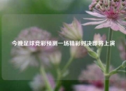 今晚足球竞彩预测一场精彩对决即将上演