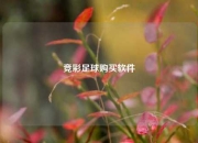 竞彩足球购买软件