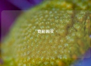 竞彩购买
