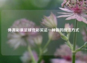 体育彩票足球竞彩买法一种新的投注方式