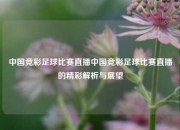 中国竞彩足球比赛直播中国竞彩足球比赛直播的精彩解析与展望