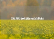 足球竞彩安卓版你的游戏新宠！