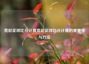 竞彩足球比分计算竞彩足球比分计算的重要性与方法