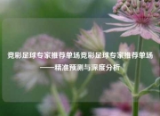 竞彩足球专家推荐单场竞彩足球专家推荐单场——精准预测与深度分析