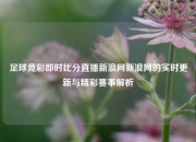 足球竞彩即时比分直播新浪网新浪网的实时更新与精彩赛事解析