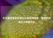 天天盈球竞彩足球比分竞彩网专业、便捷的足球比分竞猜平台