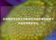 足球竞彩平台怎么开如何在合法合规的前提下开设足球竞彩平台