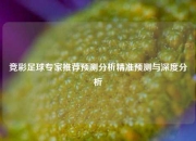 竞彩足球专家推荐预测分析精准预测与深度分析