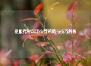 捷报竞彩足球推荐策略与技巧解析