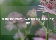 哪里看竞彩足球比分app探索竞彩足球比分APP的世界