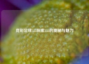竞彩足球355探索355的奥秘与魅力
