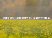 足球竞彩平台外围提供专业、可靠的投注服务