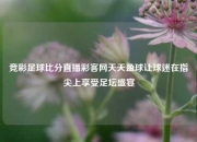 竞彩足球比分直播彩客网天天盈球让球迷在指尖上享受足坛盛宴