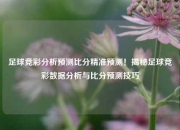 足球竞彩分析预测比分精准预测！揭秘足球竞彩数据分析与比分预测技巧