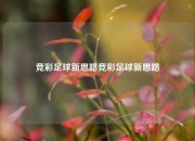 竞彩足球新思路竞彩足球新思路