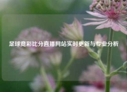 足球竞彩比分直播网站实时更新与专业分析