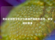 竞彩足球胜平负比分直播把握胜负走向，享受精彩赛事