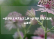体育彩票足球竞彩怎么玩体育彩票足球竞彩玩法详解