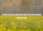 世界杯足球竞彩微信群世界杯足球竞彩微信群的热烈气氛