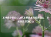 足球竞彩亚盘口诀精准解读足球竞彩盘口，掌握独家亚盘口诀