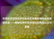 世界杯足球竞彩软件如何在世界杯期间赢取高额奖金——揭秘世界杯足球竞彩软件的玩法与策略