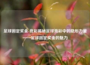 足球固定奖金-竞彩揭秘足球竞彩中的隐形力量——足球固定奖金的魅力