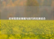 足球竞竞彩策略与技巧的完美结合