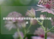 足球竞彩比分5倍足球竞彩比分5倍的魅力与挑战