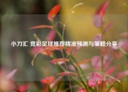 小刀汇 竞彩足球推荐精准预测与策略分享