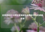 足球竞彩比分网彩客揭秘在线博彩平台的神秘世界