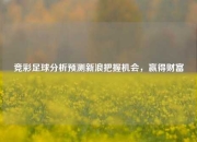 竞彩足球分析预测新浪把握机会，赢得财富