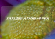 足球竞彩直播比分实时更新与精彩预测