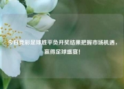 今日竞彩足球胜平负开奖结果把握市场机遇，赢得足球盛宴！