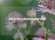 竞彩足球比分现场实时追踪与分析