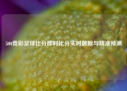 500竞彩足球比分即时比分实时数据与精准预测