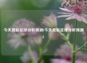 今天竞彩足球分析预测l今天竞彩足球分析预测L