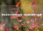 竞彩足球3日结果把握每一场比赛的胜算与机遇