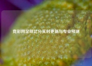 竞彩网足球比分实时更新与专业预测