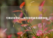 万博足球竞彩app提升你的体育游戏体验