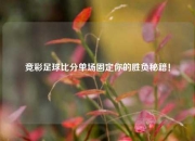 竞彩足球比分单场固定你的胜负秘籍！