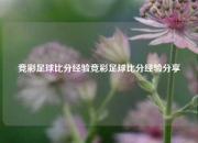 竞彩足球比分经验竞彩足球比分经验分享